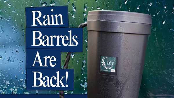 rain-barrels.jpg